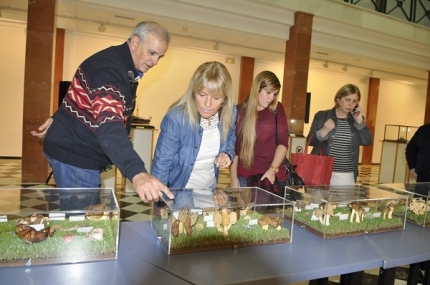 Miembros de la asociación Ciudadanos por Albolote visitan la exposición de setas 