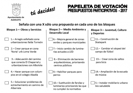 Esas son las 15 propuesta que contiene la papeleta de votación. 