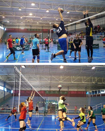 Varios jugadas de los torneos de voleibol disputados en Albolote.