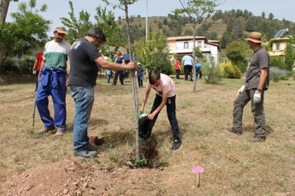 Plantación de árbol en uno de los parques de la Urbanización El Torreón con motivo del Día del Árbol