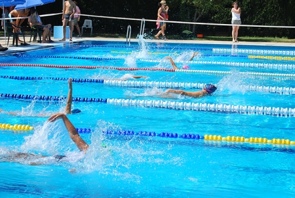Natación de competición en la piscina municipal, una de las modalidades que se oferta. 