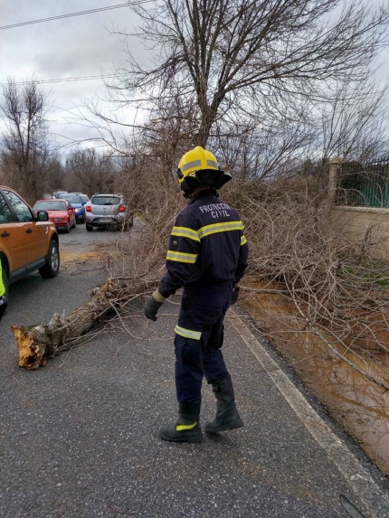 Voluntarios de Protección Civil actúan recogiendo ramas y árboles caídos por el viento 