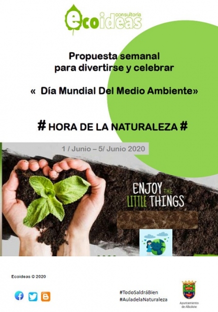 Cartel del día mundial del medio ambiente 