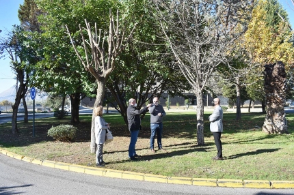 El alcalde y los concejales de Medio Ambiente y Urbanizaciones visitan el estado de algunos jardines de Loma Verde.