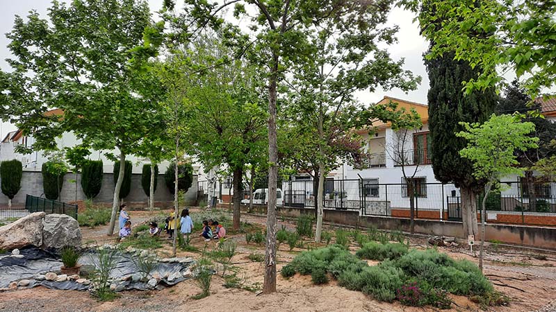 Espacio ecológico del colegio Abadía donde se siembran vegetales y plantas aromáticas.