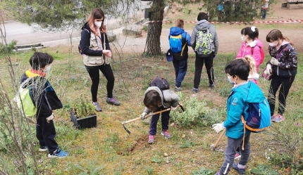 Niños y niñas participan en el día del árbol 