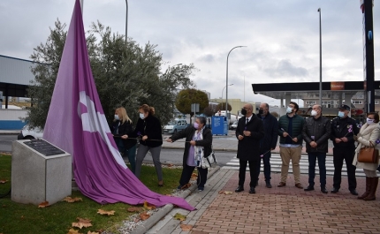 Izada de la bandera contra la violencia ejercida hacia la mujer 