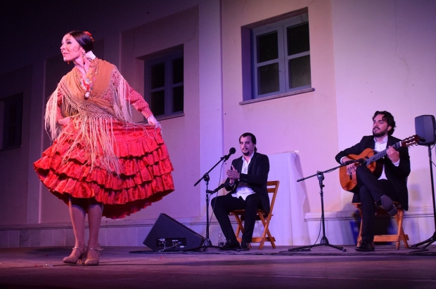 Espectáculo de flamenco 