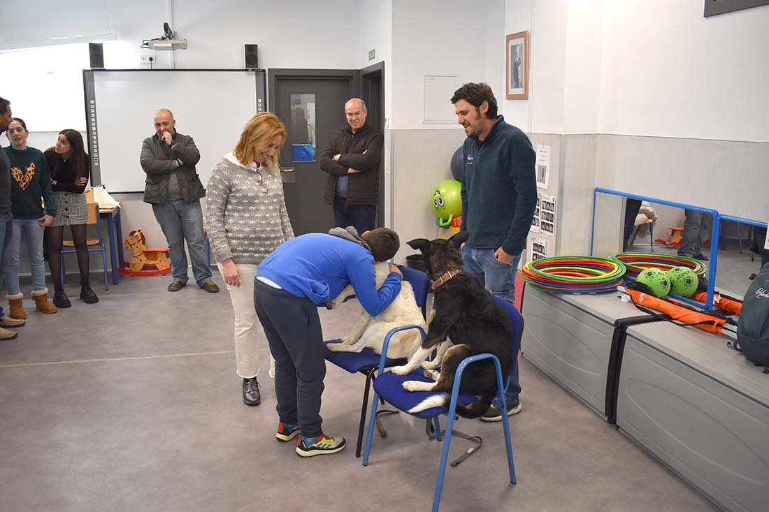 Un escolar acaricia a uno de los perros durante la terapia canina en presencia de profesoras y concejales del Ayuntamiento.