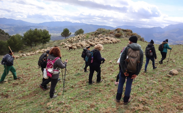 El grupo acompañando al rebaño de ovejas durante el trekking pastoreado de la segunda jornada