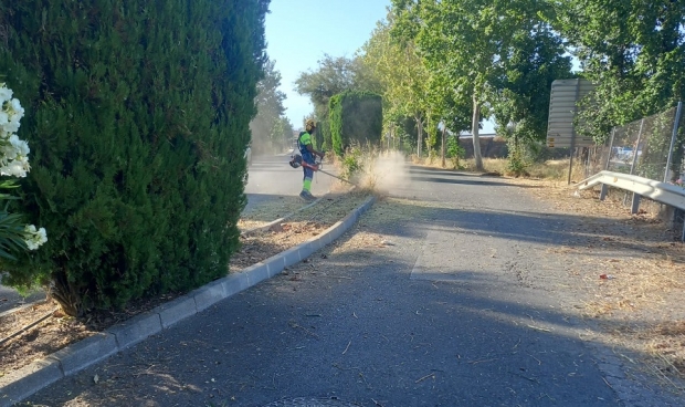 Un operario desbroza la mediana en una calle del municipio de Albolote 