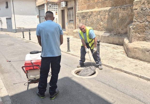 Dos operarios actúan en una alcantarilla en la campaña de desratización que se lleva a cabo estos días.