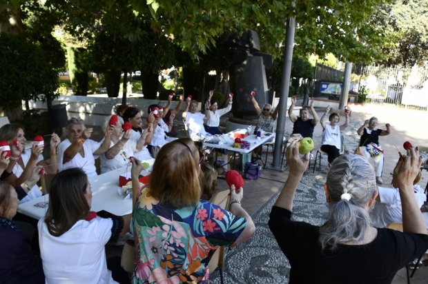 Tejedoras en el parque de Guynabo