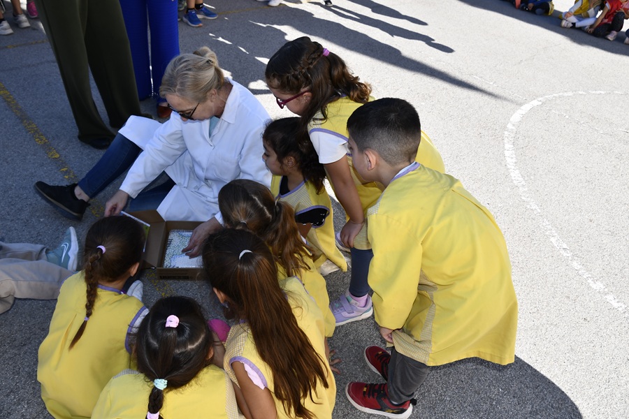 Los nios y nias junto a su maestra desvelan el interior de la caja  Los nios y nias junto a su maestra desvelan el interior de la caja