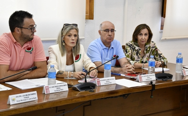 Un momento de una intervención de la portavoz del PSOE en el pleno del mes de octubre